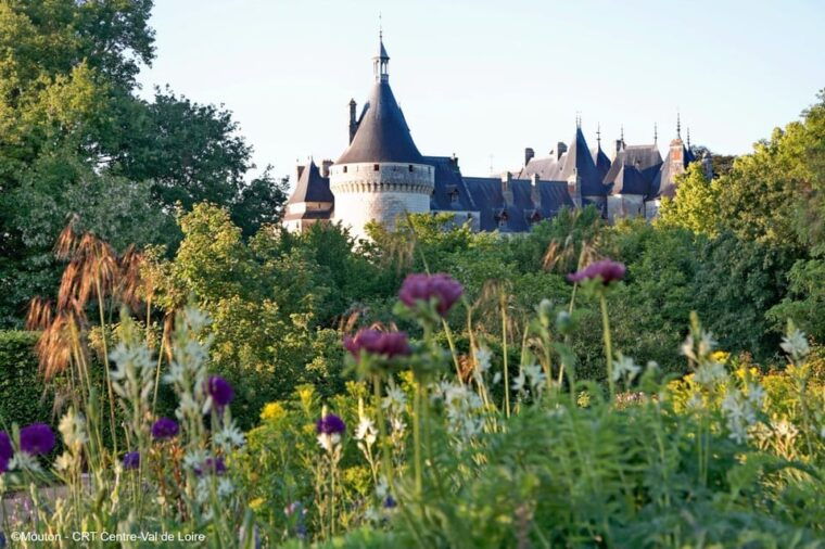 From Blois: Cycling With Canine Companions - Highlights of the Experience