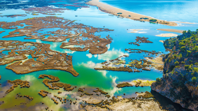 From Bodrum: Dalyan, Turtle Beach, and Mud Baths Day Trip - Key Attractions