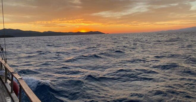 From Bodrum: Private Sunset Boat Tour With Dinner & Swimming - Inclusions