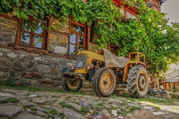 From Bodrum: Private Village Tour With Lunch and Transfers - Tips for a Great Experience