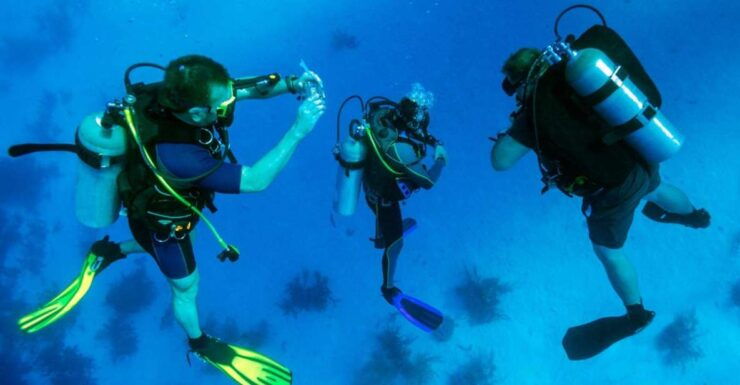 From Bodrum: Scuba Diving in the Aegean Sea - Booking Details