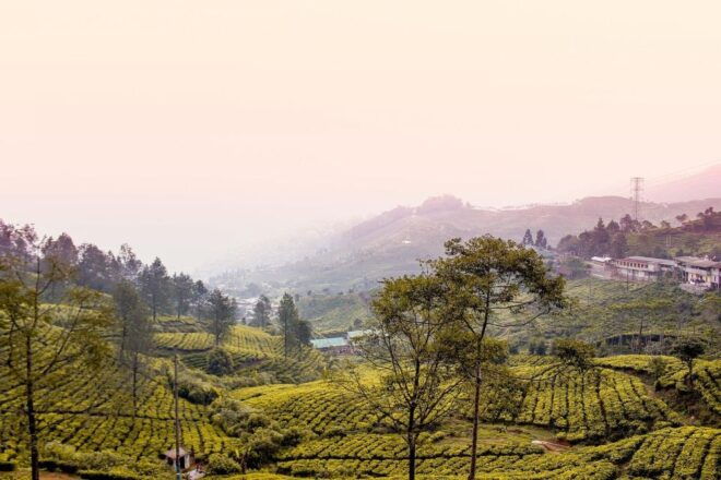 From Bogor: Private Car Charter With Driver - Directions