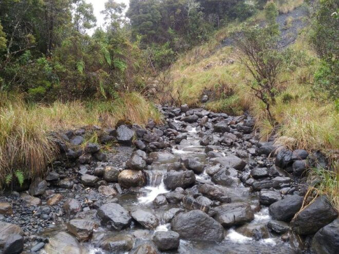 From Bogotá: Chingaza National Park Eco Tour - Review Summary