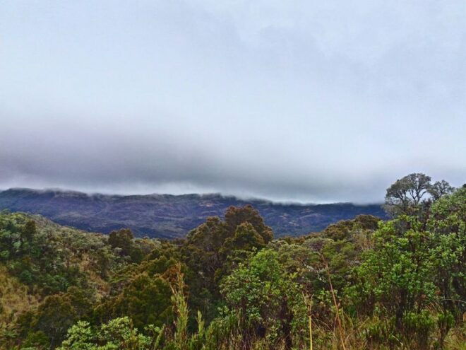 From Bogotá: Chingaza National Park Eco Tour - Frequently Asked Questions