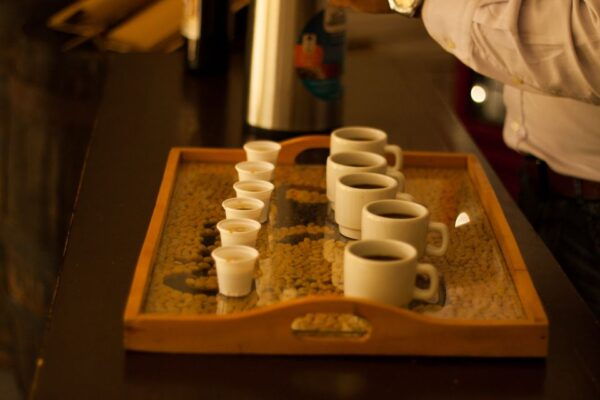 From Bogotá: Coffee Plantation Experience - Customer Review