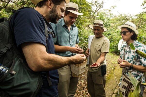 From Bogotá: Coffee Plantation Experience - Frequently Asked Questions