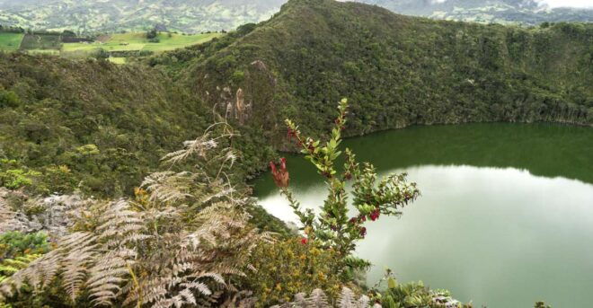 From Bogota: Green Guatavita Lake and Reserve Private Tour - Language Options