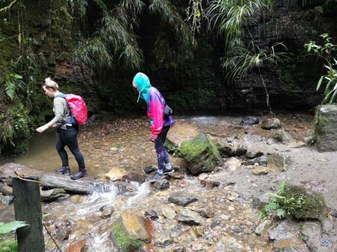 From Bogota: Hike to Colombia's Highest Waterfall - Additional Information