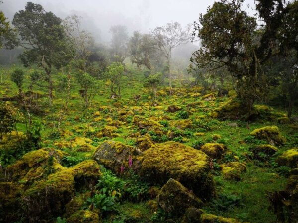 From Bogota: Hike to Colombia's Highest Waterfall - Starting Point and Cancellation Policy