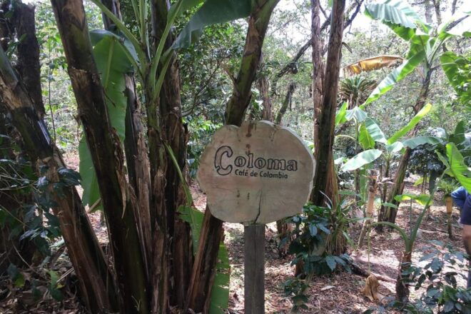 From Bogotá: La Coloma Coffee Farm Day Trip With Lunch - Location and Exploration