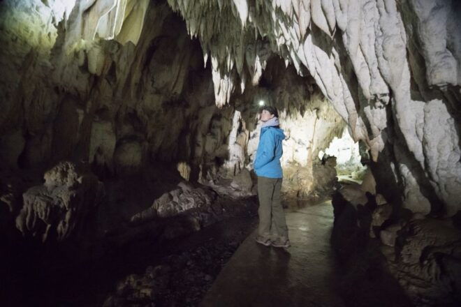 From Bogota: Private Guided Nemocón Salt Cathedral Tour - Experience Highlights and Availability