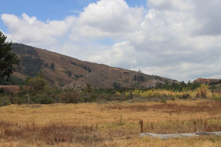 From Bogotá: Private Tour to Villa De Leyva - Booking Details