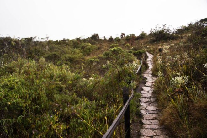 From Bogotá: Salt Cathedral and Lake Guatavita Day Tour - Directions and Important Considerations