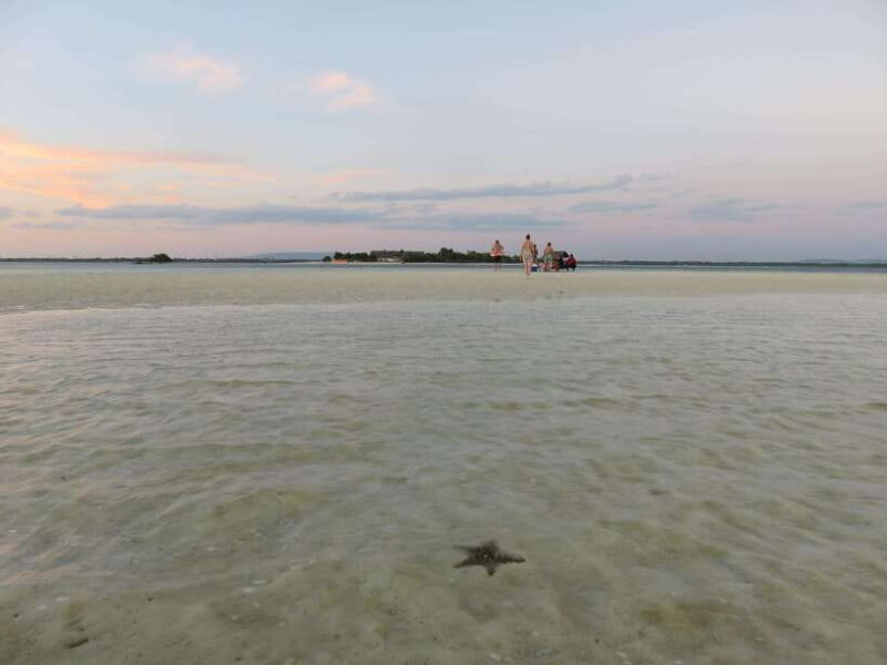 From Bohol: Island Sunset Watching and Snorkeling Tour - What We Love About This Tour