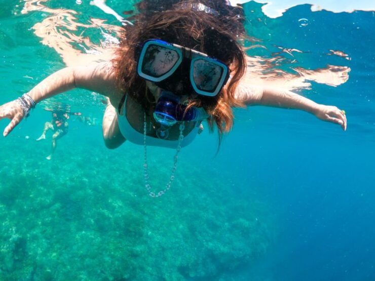 From Bohol: Pamilacan Island Full-Day Tour With Lunch - Activity Details