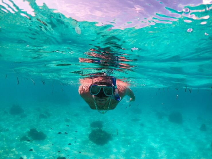 From Bohol: Pamilacan Island Full-Day Tour With Lunch - Experience Highlights