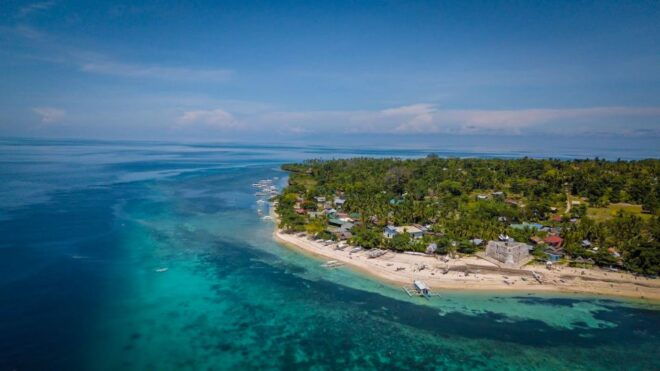 From Bohol: Pamilacan Island Full-Day Tour With Lunch - Itinerary