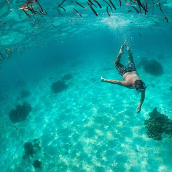 From Bohol: Virgin Island Sunset Tour (Half Day Tour) - The Sum Up
