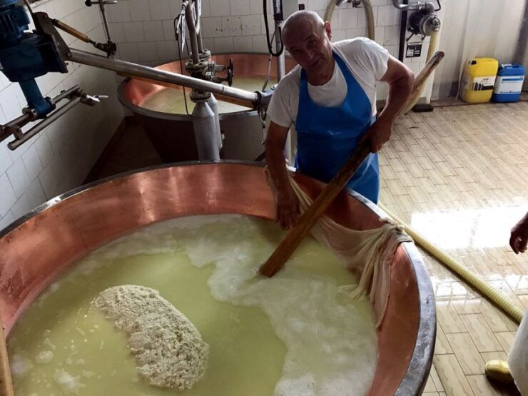 From Bologna: Emilia Excellence Food Tour - Good To Know