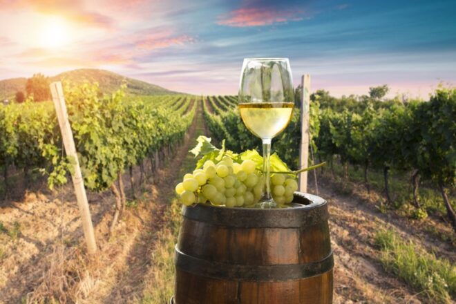 From Bologna: Franciacorta Lunch and Wine Tasting - Frequently Asked Questions