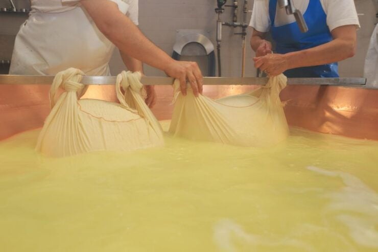 From Bologna: Parma Cheese & Ham Factory Tours and Tastings - Experience Highlights and Inclusions