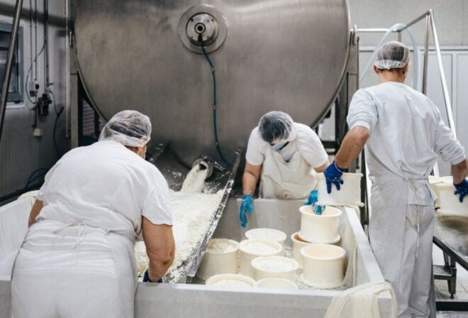 From Bologna: Parma Cheese & Ham Factory Tours and Tastings - Participant Information and Requirements