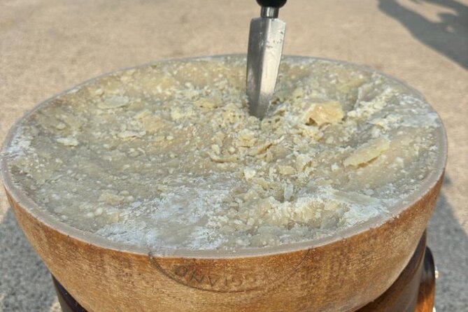 From Bologna: Parmesan Cheese & Balsamic Vinegar Tour+Lunch - Good To Know