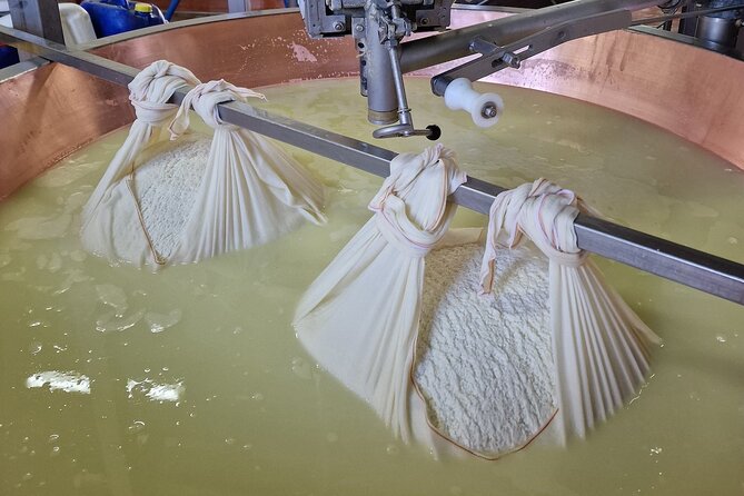 From Bologna: Parmesan Cheese & Balsamic Vinegar Tour+Lunch - Frequently Asked Questions