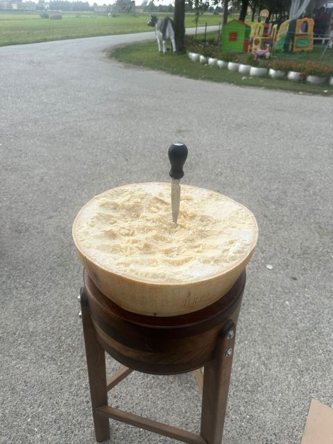 From Bologna: Parmesan, Vinegar, Lambrusco With Transfer - Included Services