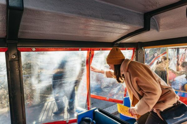 From Bologna: Roundtrip San Luca Train Ticket & Food Tasting - Additional Information