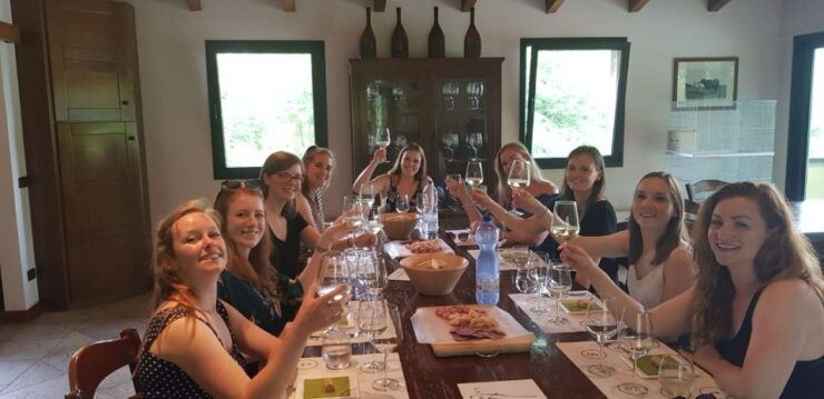 From Bologna: Wine Experience Colli Bolognesi - Experience Details