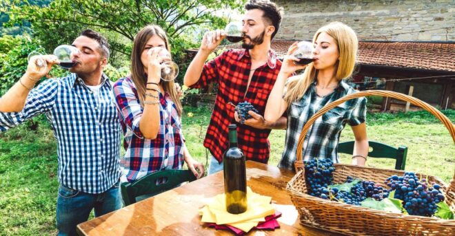 From Bologna: Wine Experience Colli Bolognesi - Booking Information