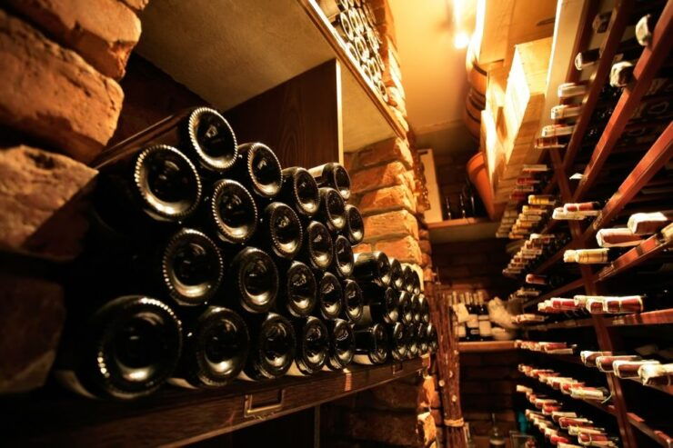 From Bologna: Wine Tasting and Vineyard Tour - Experience