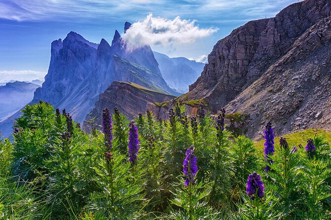 From Bolzano: Private Tour of Dolomites in Mount Seceda and Funes Valley - Reviews