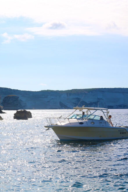 From Bonifacio: Lavezzi Islands and Bonifacio Boat Tour - Highlights of the Adventure