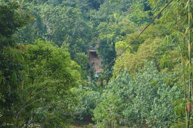 From Boracay: Mainland Off-road ATV or Zipline Experience - Pricing and Reservation