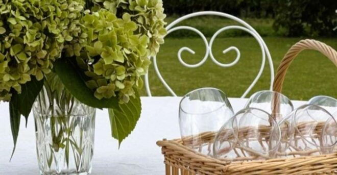 From Bordeaux: Afternoon Saint-Emilion Wine Tasting Trip - Full Description