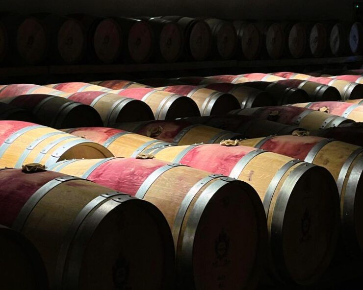 From Bordeaux: Afternoon Wine Tasting in the Medoc Region - Duration and Cancellation Policy