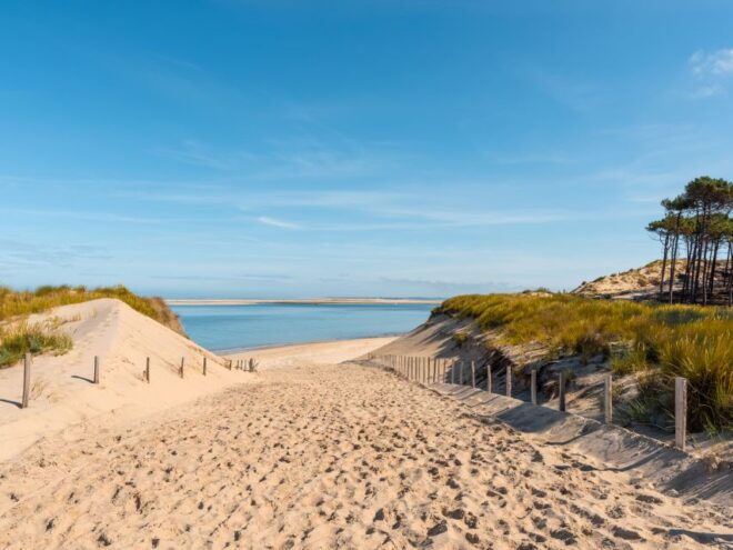 From Bordeaux: Arcachon and Pilat Dune Private Tour - Additional Information and Things to Do in Bordeaux