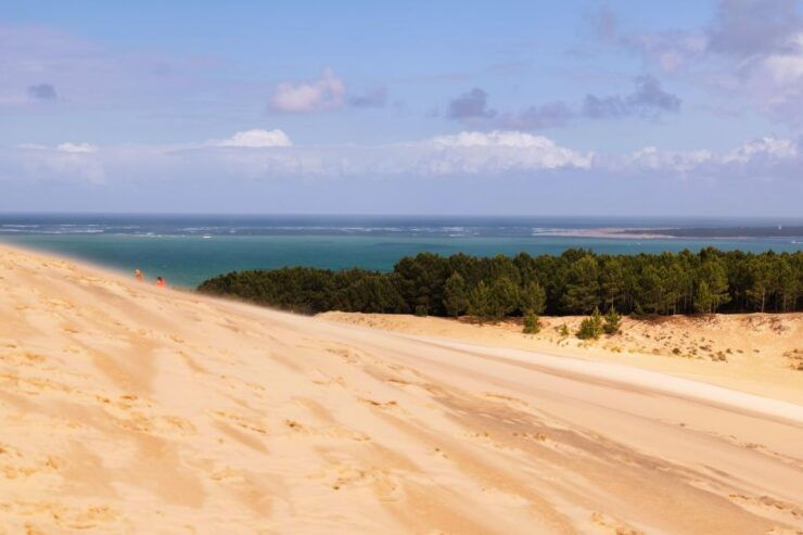 From Bordeaux: Arcachon Bay Full Day Tour and Oyster Lunch - Availability and Itinerary