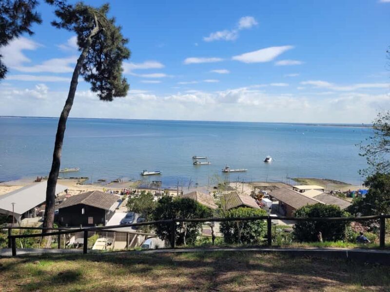 From Bordeaux: Cap Ferret Peninsula Private Tour, Ocean and Oyster Village - Final Thoughts: Who Will Love This Tour?