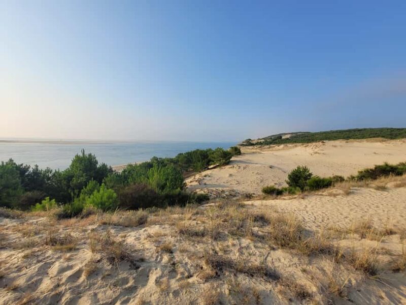 From Bordeaux: Dune du Pilat, Arcachon Bay and Oyster Village Private Tour - Transportation and Group Size
