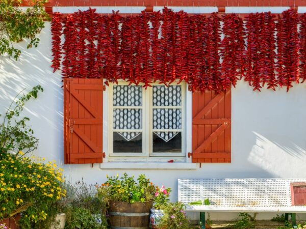 From Bordeaux: Full-Day Private Basque Country Tour - Tour Highlights