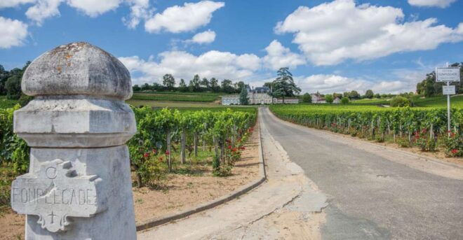 From Bordeaux: Full-Day St Emilion Wine Tasting Tour - Wine Tasting at Classified Growth Chateaux