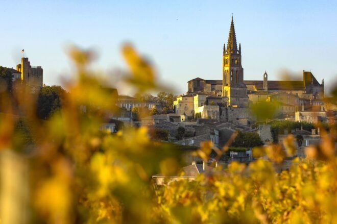 From Bordeaux: Full-Day St Emilion Wine Tasting Tour - Walking Tour of St Emilion Village