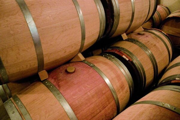 From Bordeaux: Full-Day St Emilion Wine Tasting Tour - The Wine Region of Libournais