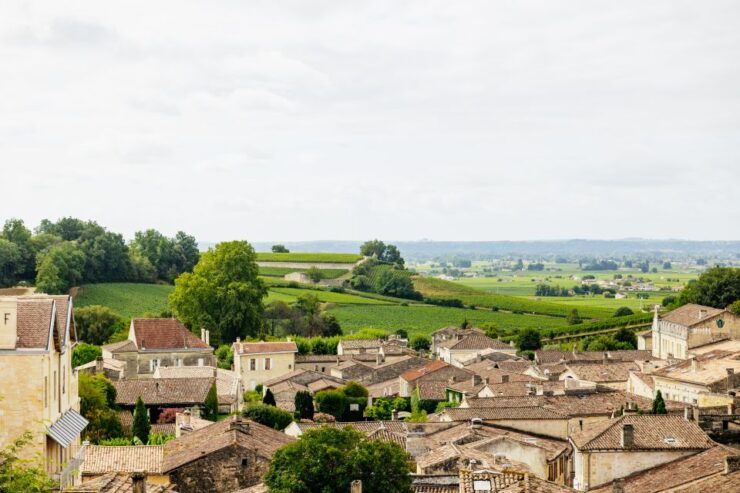 From Bordeaux: Half-Day Saint-Émilion Tour and Wine Tasting - Activity Details