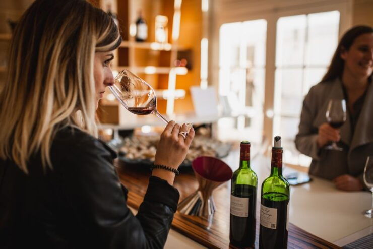 From Bordeaux: Médoc Region Afternoon Wine Tasting Tour - Itinerary