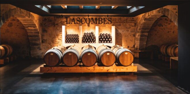 From Bordeaux: Médoc Region Afternoon Wine Tasting Tour - The Sum Up