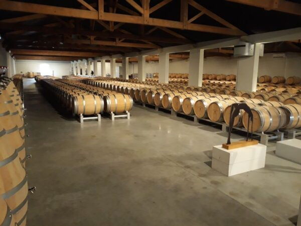 From Bordeaux: Médoc Vineyard and Chateau Tour by Sidecar - Accessibility and Group Tours
